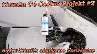 5 Jahre Biomasse! Citroën Projekt Teil 2 - Ausführliche alkalische Vorwäsche der wichtigste Schritt