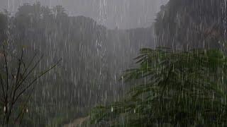 Fall Asleep Instantly with Soothing Rain ASMR | Rain Sounds For Sleeping Go on