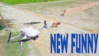 [funny/drone]and dog /viral short - drone camera prank with dog  #viral #funny #shorts #dog