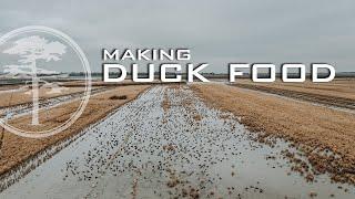 Duck Hunting- Planting DUCK FOOD and Burning Duck Blinds!