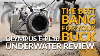 Olympus EPL-10 | Underwater Camera & Housing Review