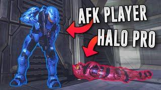 AFK HALO PLAYER OUTPLAY'S A HALO PRO! - Halo Twitch Clips & Best Highlights #76
