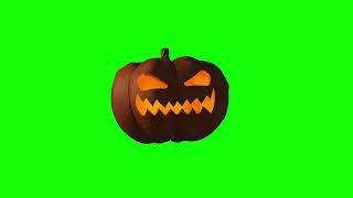 Green screen Halloween pumpkin footage Free