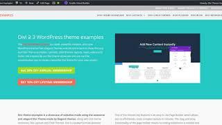 Divi Theme Examples jumping header fix