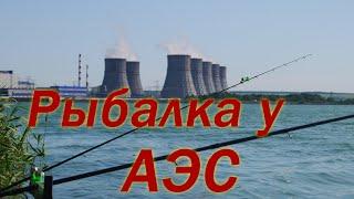 ТИЛАПИЯ НА ФИДЕР У АТОМНОЙ СТАНЦИИ. Рыбалка в Воронежской области. Нововоронежский пруд охладитель.