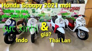 Review Scoopy 2021 nhập Thái mới nhất + so với bản Indo như thế nào? Cận cảnh Honda Scoopy Thái 2021