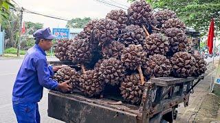 Amazing! Is This an Alien Fruit? - Alien Fruit Cutting Skills