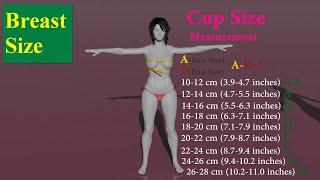 3D COMPARISON: Female Breast Sizes from AA-H Cup, How Big is A Cup?