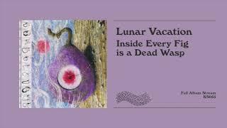 Lunar Vacation - Inside Every Fig is a Dead Wasp (Full Album Stream)