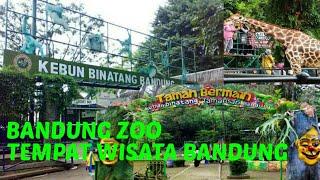 Kebun binatang Bandung • Wisata dibandung| Anak Kecil Belajar NgeVlog Bandung zoo