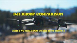 DJI Mini 2 vs Mini 3 Pro vs Air 2s vs Mavic 3 for Adventure Video ft Toby of Summit Bid Media