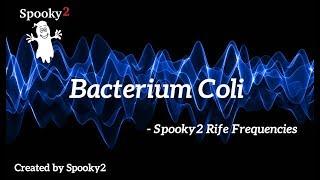 Bacterium Coli - Spooky2 Rife Frequencies