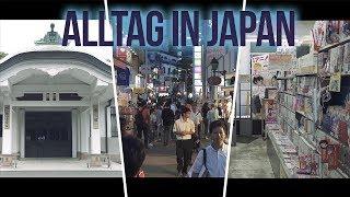 Mein ALLTAG in JAPAN  | ZetasHero