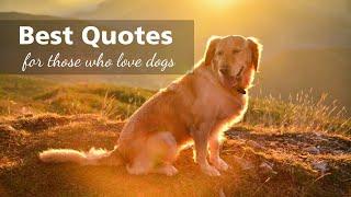 60 Best Quotes About Dogs | Animal Lovers | Dog Lovers | Love For Dogs | Best Dog Quotes | Cute Dogs