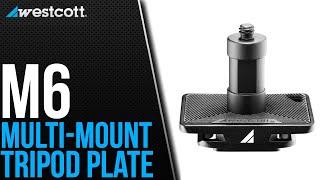 Introducing the M6 Multi-Mount Tripod Plate