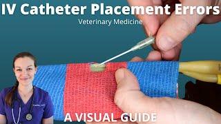 IV Catheter Placement Errors in Veterinary Medicine