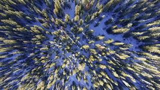 Aerial View Of A Drone Flying Over Snow Covered Pine Trees - 4K Stock Video