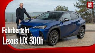 Lexus UX 300h (2024) | Fahrbericht mit Jan Horn
