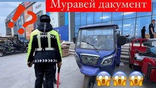 Муравей Янги  Нарх Ва Конун !!