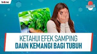 Ini Efek Samping dan Batasan Dosis Konsumsi Daun Kemangi | Ternyata Ada Obatnya