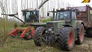 Energieholz Kurzumtriebsplantage Holzernte Holz häckseln Claas Jaguar & Fendt Farmer harvests forest