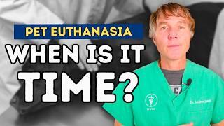 End-of-Life Decisions: Dr. Andrew Jones' Guide to Recognizing the Right Time for Pet Euthanasia