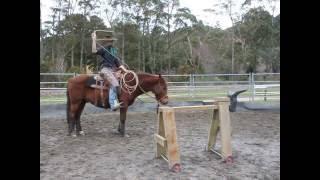 Overhand swing - Ranch roping