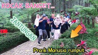 Prank Manusia Daun Manusia Pohon Bushman Prank Kocak Lucu Funny