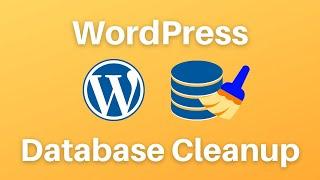 How to Clean and Optimize your WordPress Database (with Perfmatters Plugin)