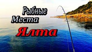 Три Дня Рыбалки в Крыму. Набережная, Ялта. Нашли Логово Карася. Ч Что можно словить в черном море?