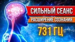 РАСШИРЕНИЕ СОЗНАНИЯ ЗА ТРИ МИНУТЫ - 731 Гц