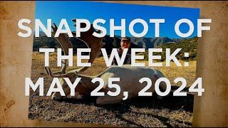 Snapshot of the Week: May 25, 2024