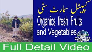 Capital Smart City Islamabad Organic fresh fruits and vegetables