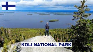 I Fell in Love with FINLAND | KOLI NATIONAL PARK 