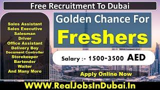 Jobs In Dubai For Freshers – UAE 2021