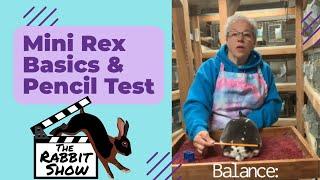 The Mini Rex Rabbit Introduction and Evaluating Body Type with the Pencil Test by Dori Smith