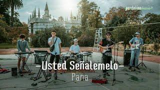 Usted Señalemelo - Pana (4K) (Live on Pardelion Music)