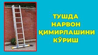 Туш табири - Тушда Нарвон кимирлашини куриш