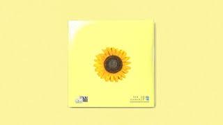 Pop Type Beat "Sunflower" | Prod. Noden