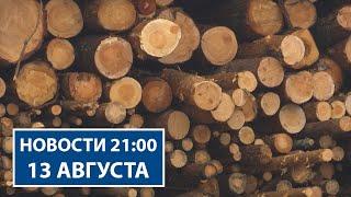 Лукашенко изменил условия реализации населению деловой древесины | Новости РТР-Беларусь