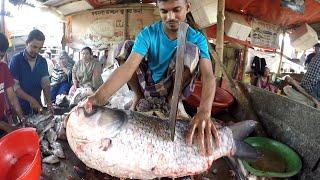 Fastest Dangerous Fish Cuttiing In Market | Red sea bream Sashimi Fish | Fishing Videos 2023