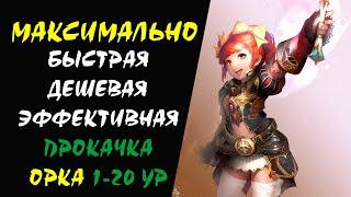 Максимально Дешевая Быстрая Эффективная прокачка Орка 1-20 ур (OV) Lineage 2