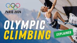 Everything You Need to Know | Olympic Climbing at Paris 2024