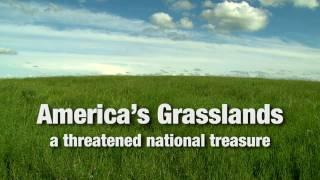 America's Grasslands: A Threatened National Treasure