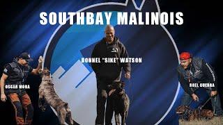 Episode 16 | Dog Talk with Southbay Malinois