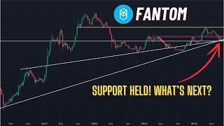 Fantom FTM Price Analysis: Support Held! Back to the top of the range?