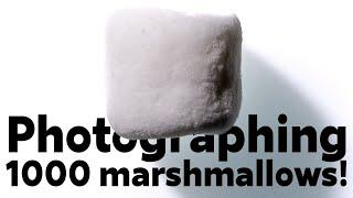 I Photographed 1,000 Marshmallows