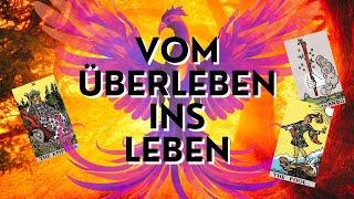 "VOM ÜBERLEBEN INS LEBEN" #tarot #kartenlegen