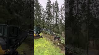 Brush & Tree Slayer @RutMFG     #johndeere #excavator #mulching #forestry #shorts