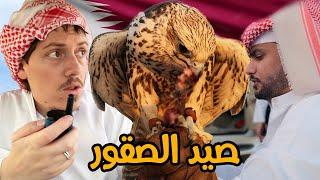 صيد الصقور في قطر - Falconry in Qatar 